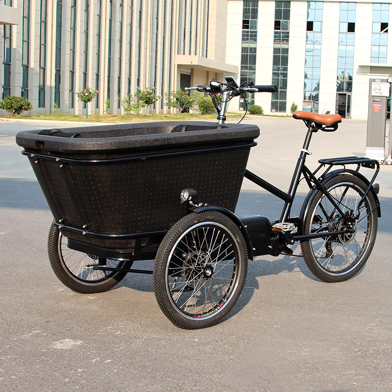 Electric Cargo Bike Real Shot 1