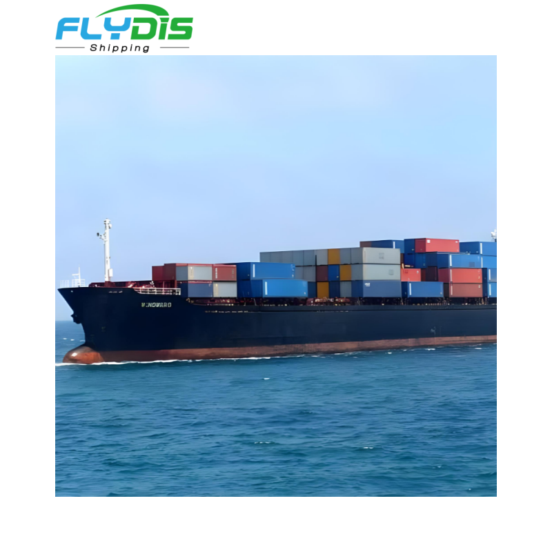 Low Cost Sea Freight From China to Singapore with LCL Less Container Load and Fast Handling Air Sea Freight Shipping Agent
