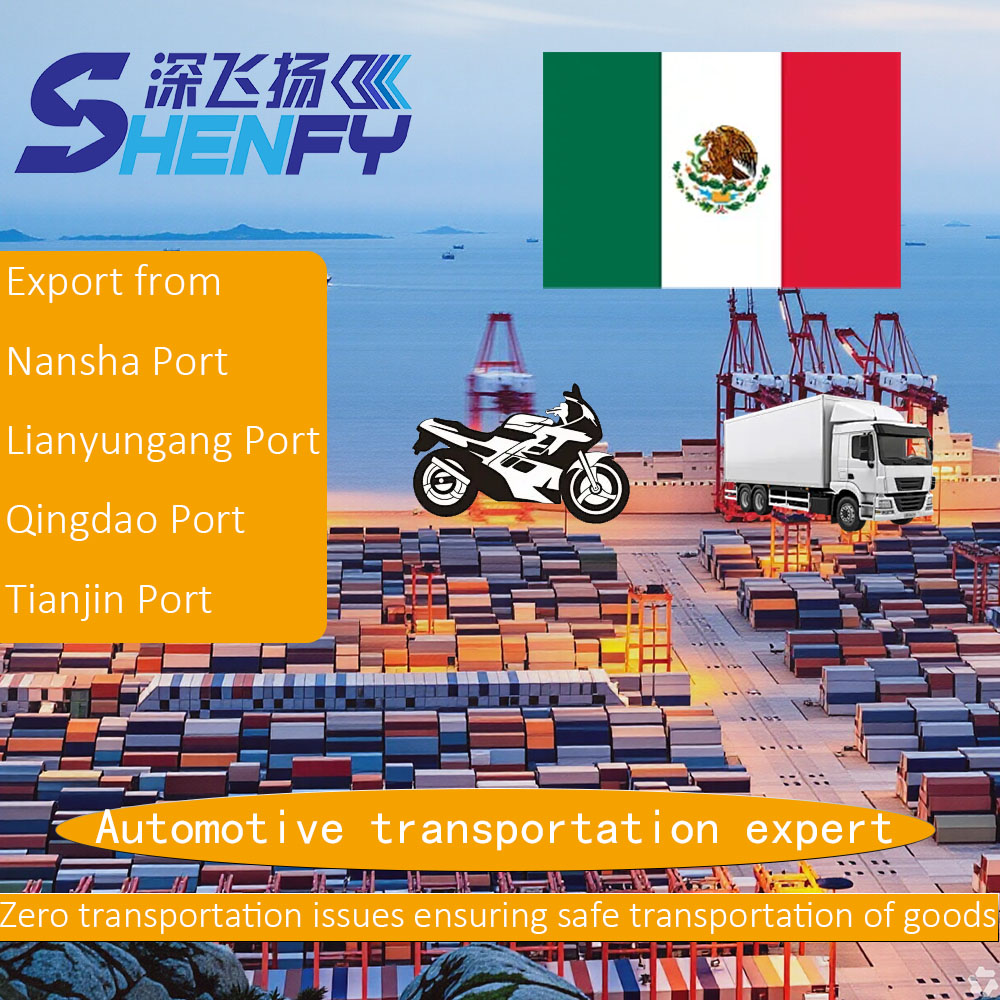 Transport Oversize Cargo Large Item Freight Forwarder Shipping Agent LCL Sea Freight Logistics Service