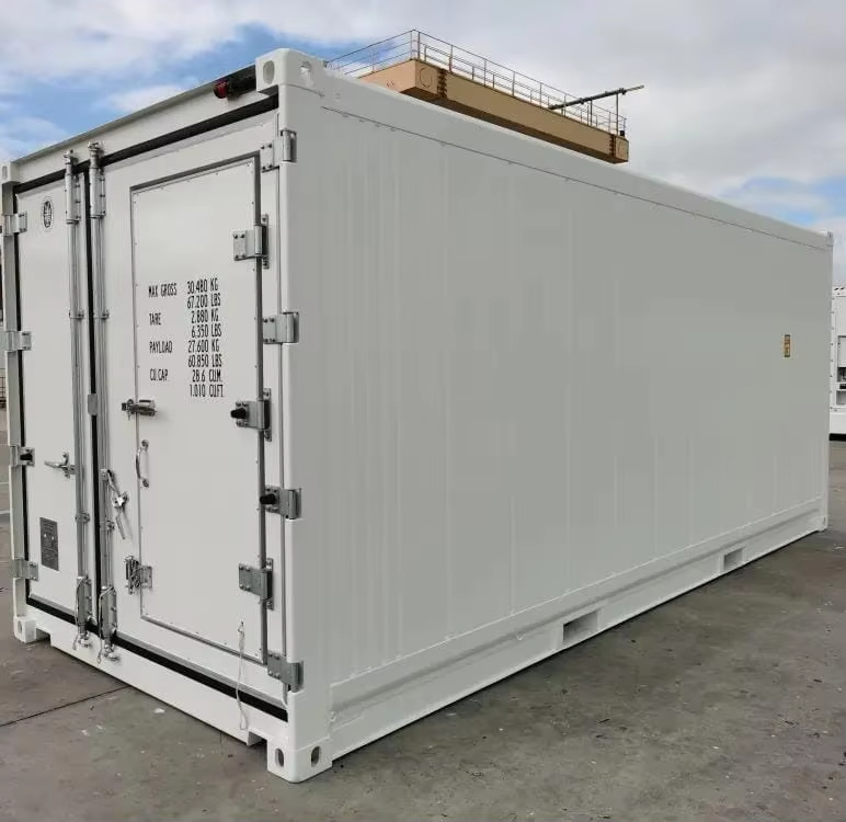 professional cold chain refrigerated container 20ft frozen transport constant temperature control