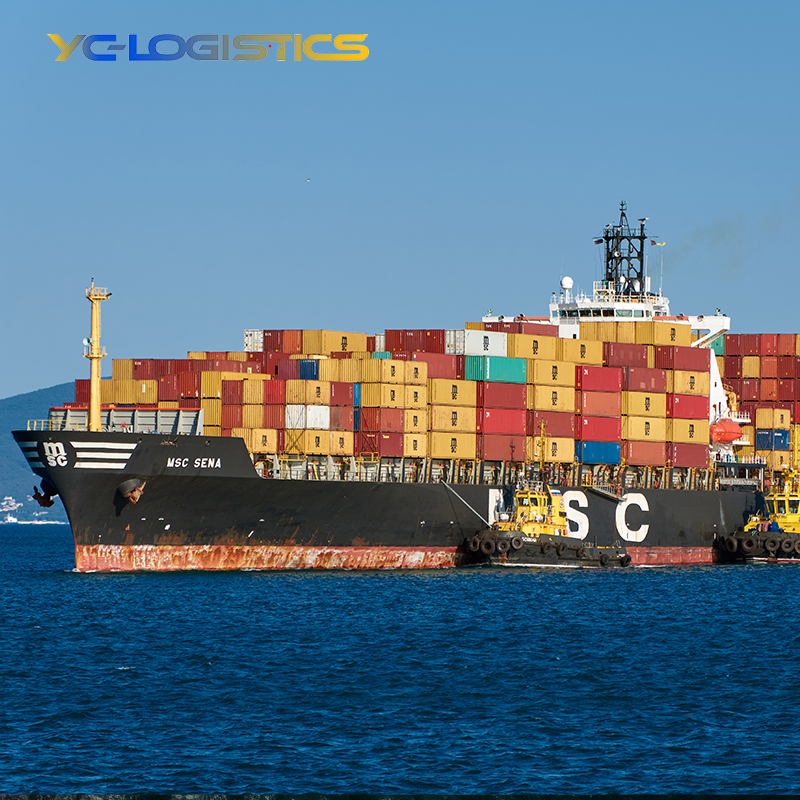 Door to Doors Shipping Agent From China to USA CA GB Europe Fast and Cheap Sea Freight Forwarder