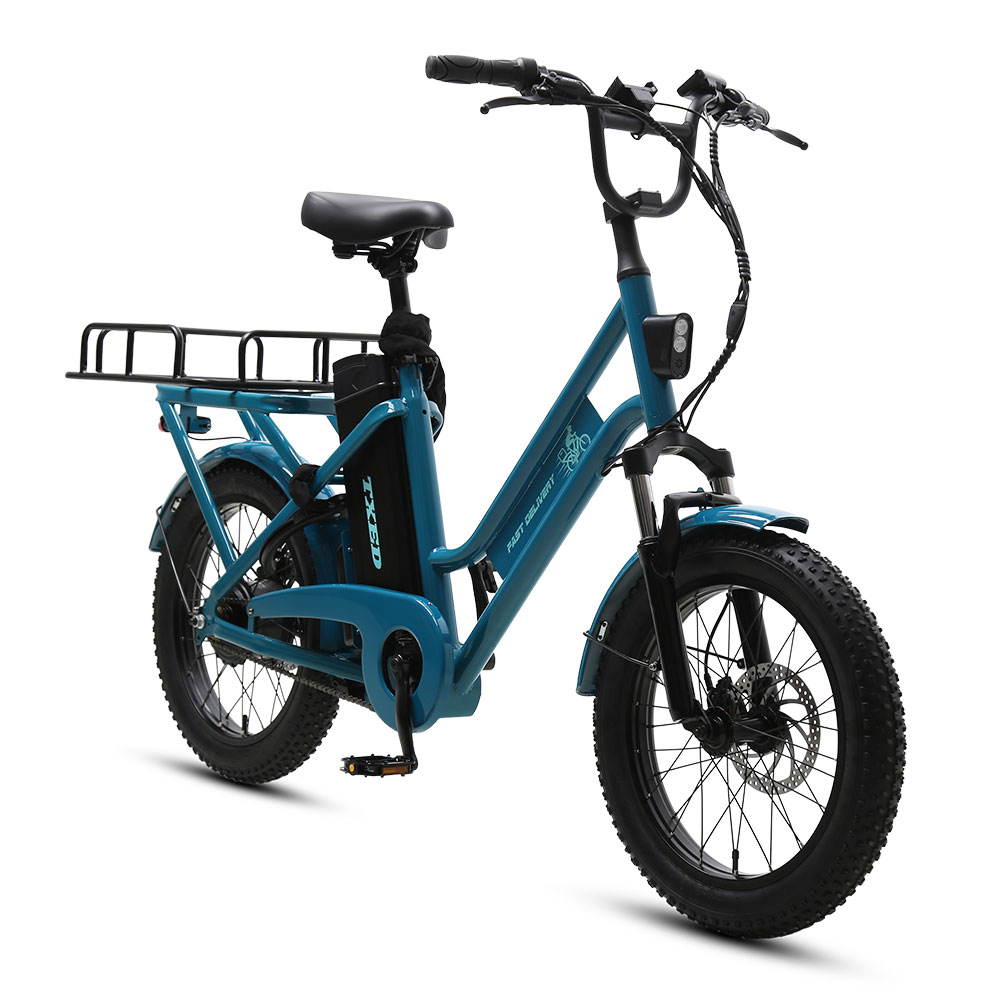 TXED Last Mile Delivery Electric Cargo Bike Large Capacity Utility Bicycle 500W Rear Hub Motor Rugged Frame Professional E-bike