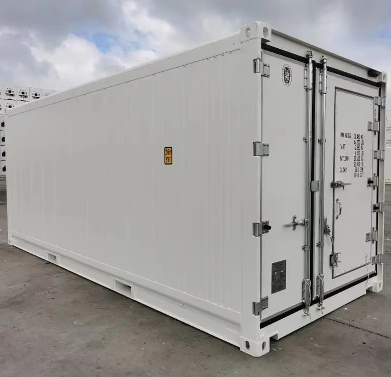 professional cold chain refrigerated container 20ft frozen transport constant temperature control