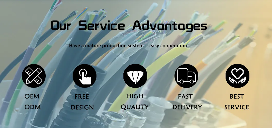 Electric Vehicle Cable