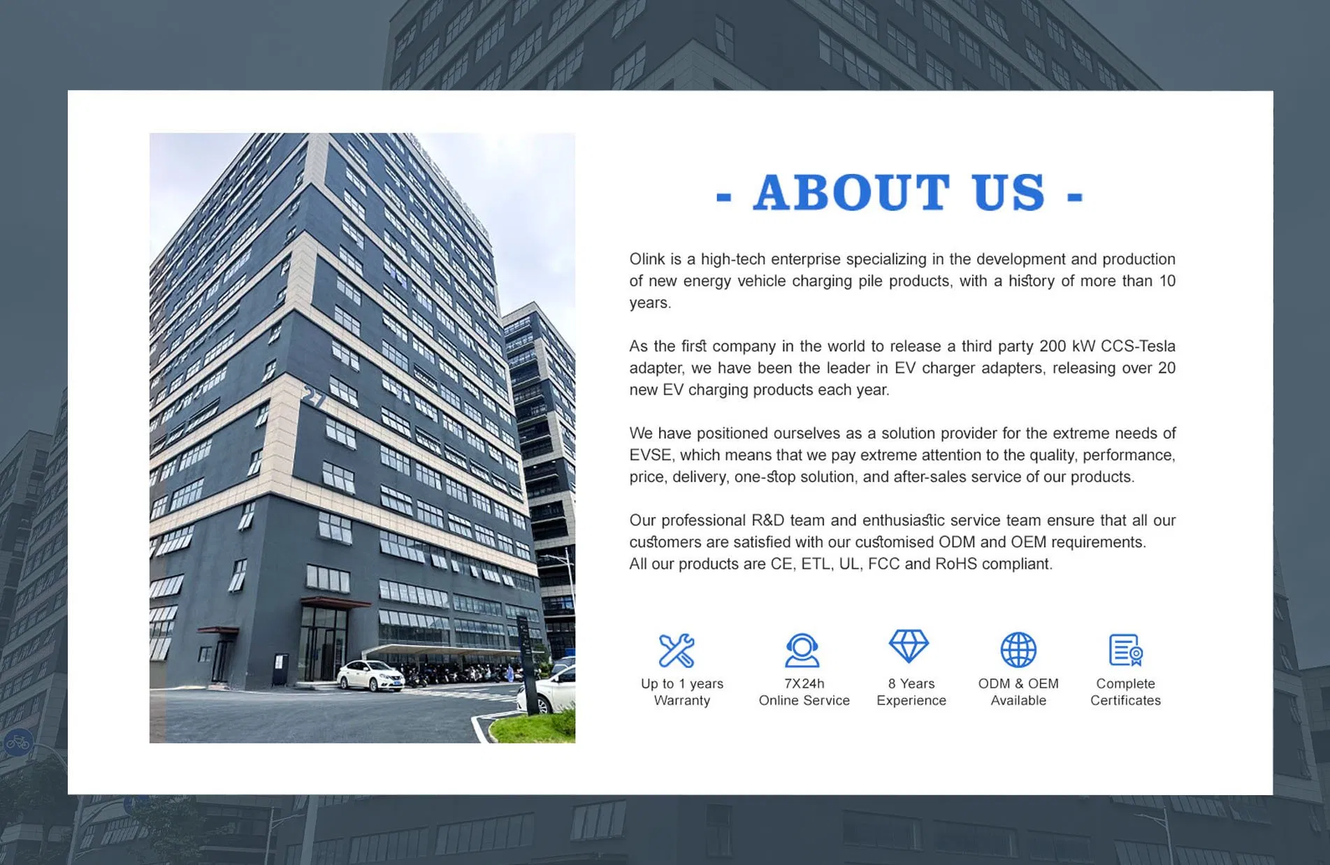 EV Charging Adapter Detail 1