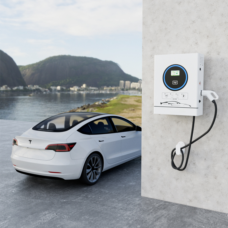 Fast Charging Dual Gun DC EV Station with Ocpp Protocol Machine