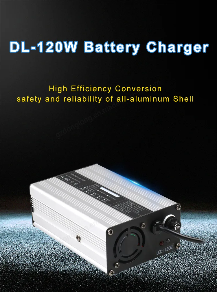 Ebike Battery Charger