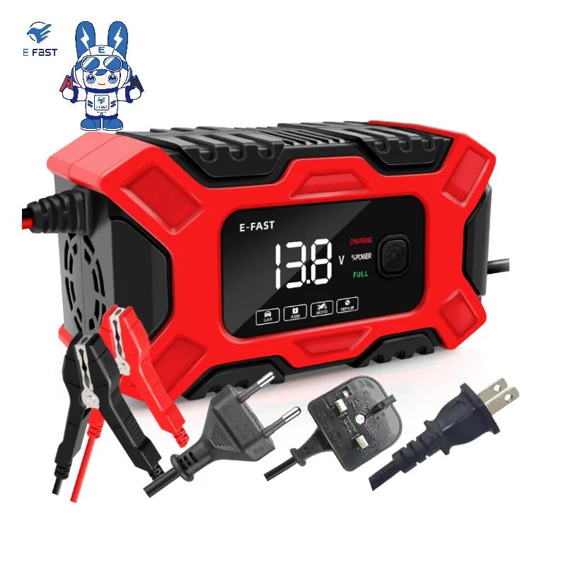 Smart Battery Charger