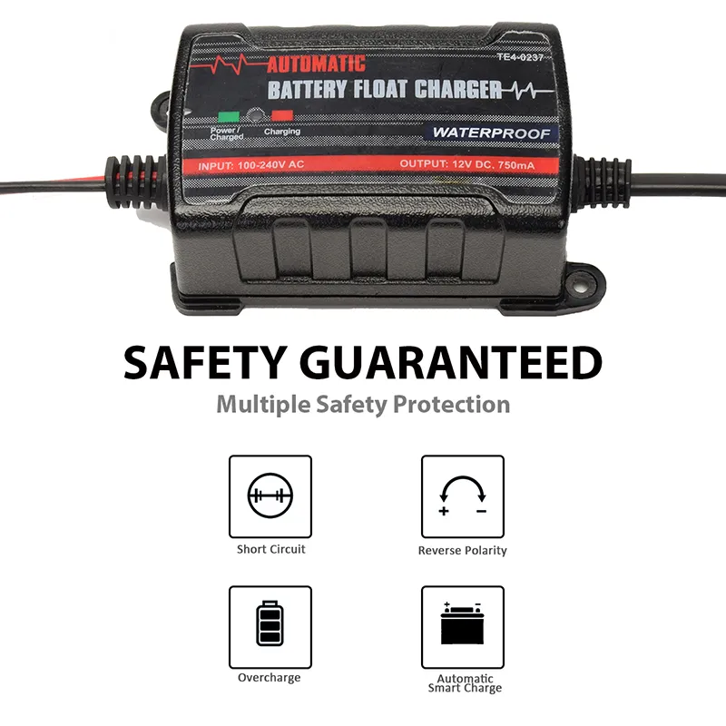 Battery Maintainer Detail 2