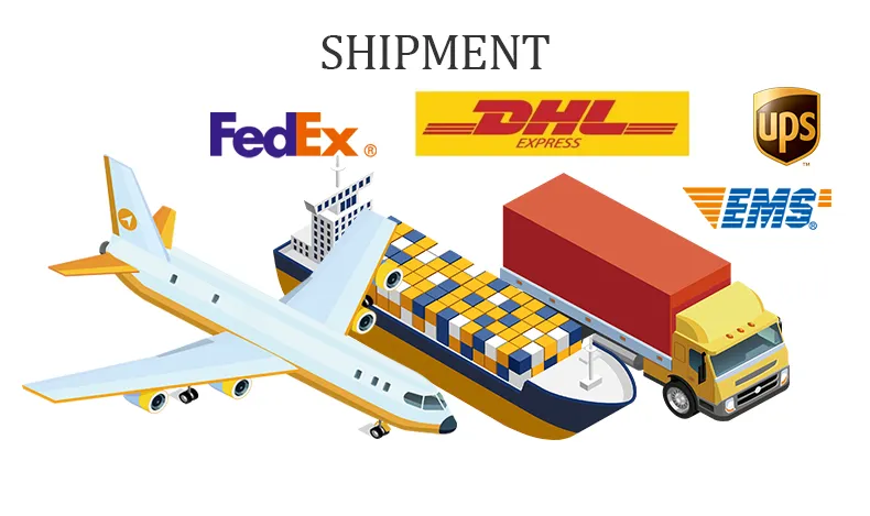 Shipping Logistics