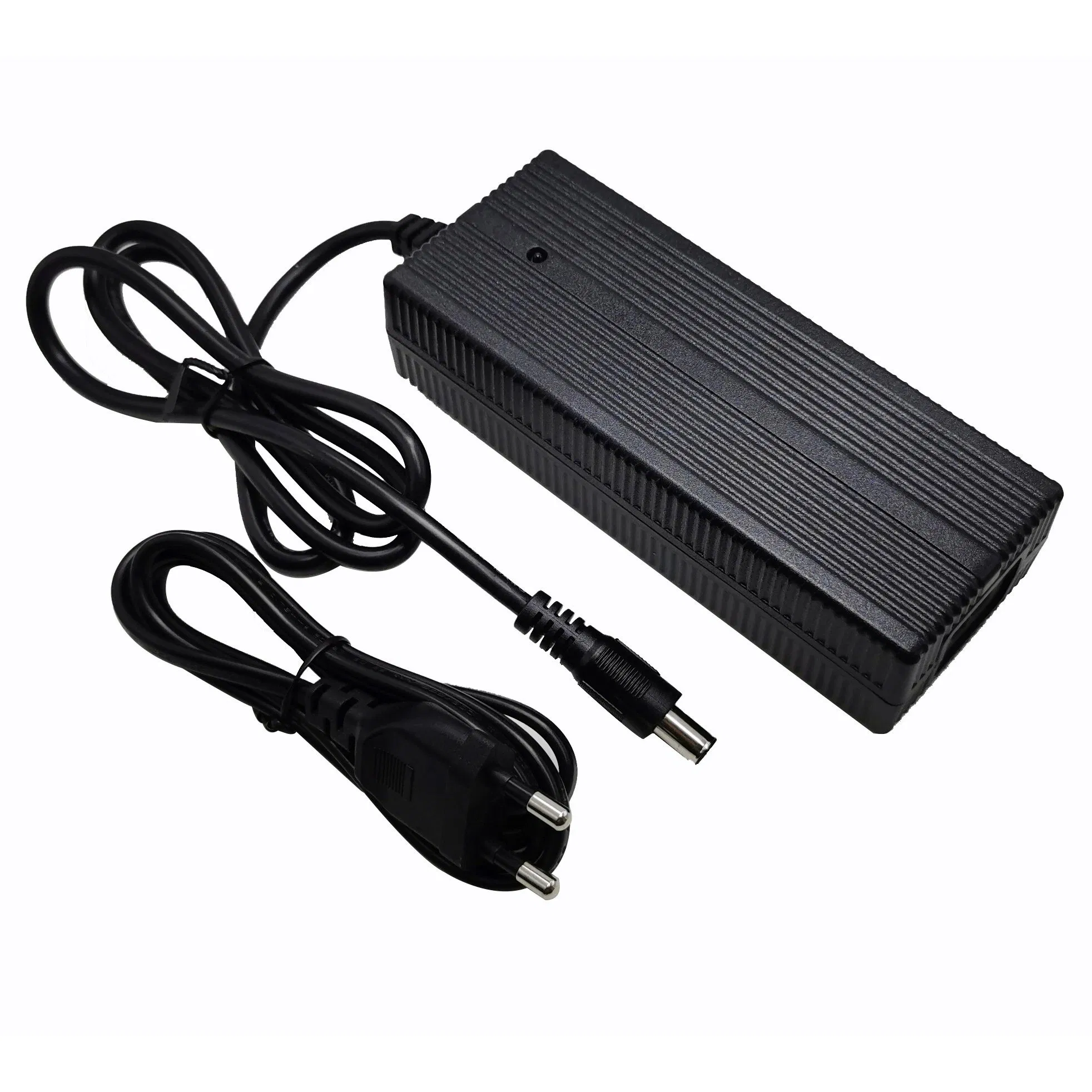12V 24V 36V 42V 2A 3A 4A 5A Portable E-Bike Charger with High Performance and Active Series