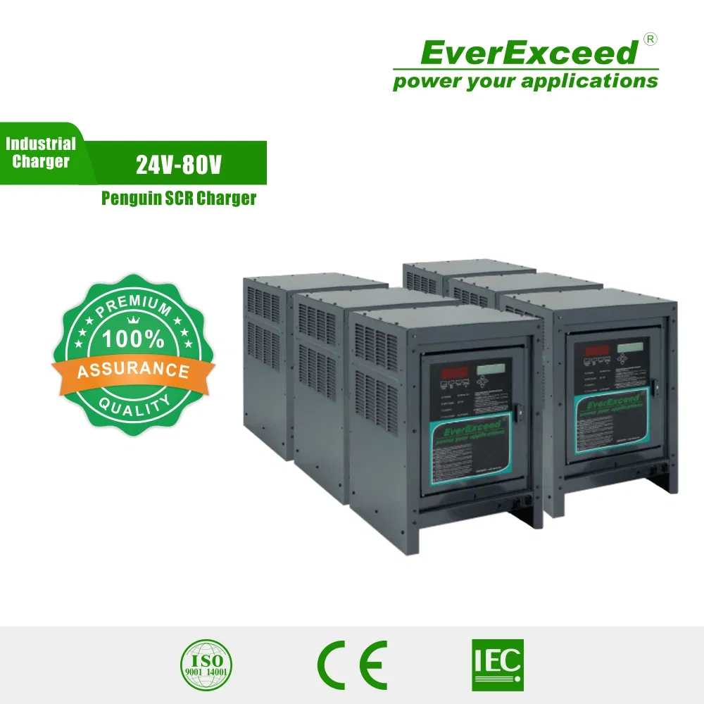 Everexceed 24V-80V Penguin SCR Series Forklift Battery Charger