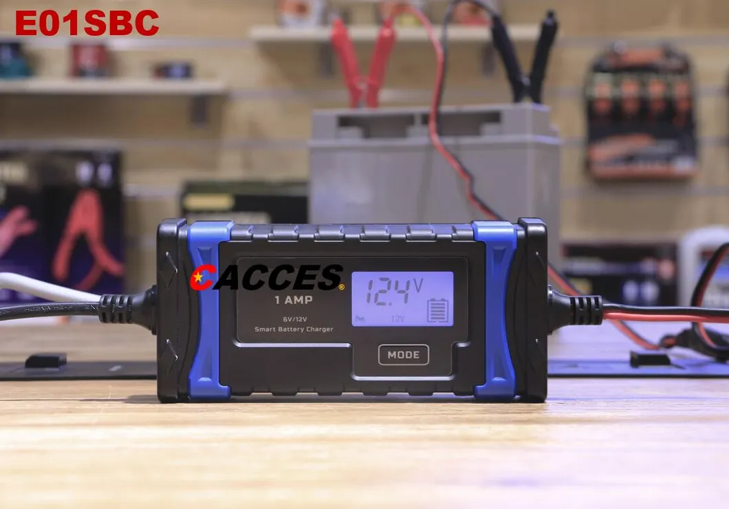 Battery Charger Detail 2