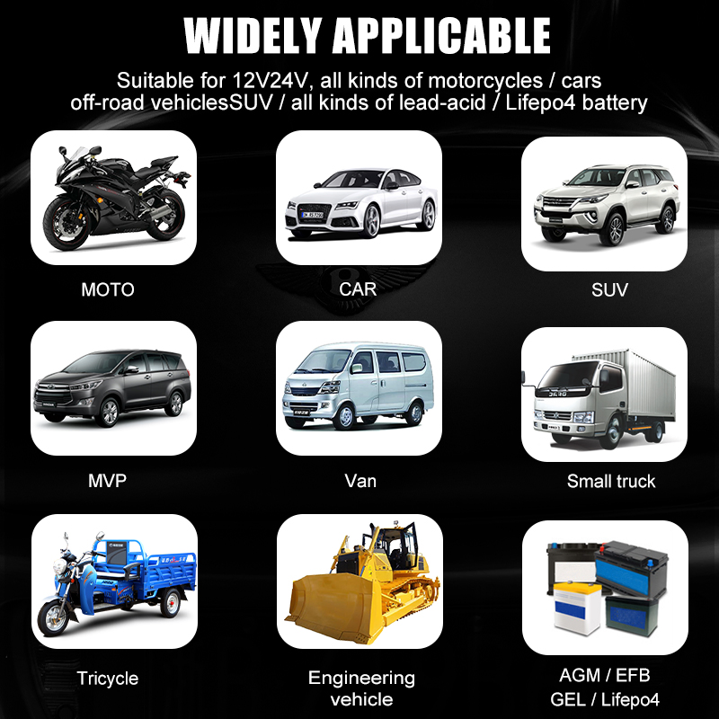 Tk-600 12V10A 24V5a Lead Acid LiFePO4 Battery Charger