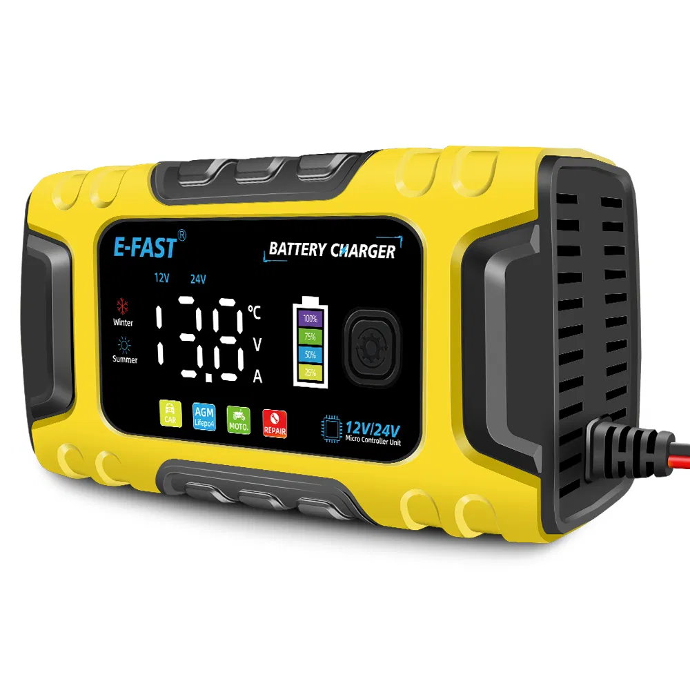 Tk-600 12V10A 24V5a Lead Acid LiFePO4 Battery Charger