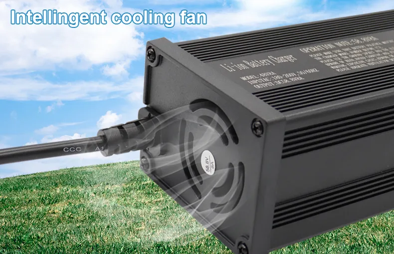 Battery Charger Display 4