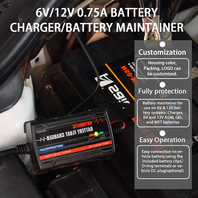 Battery Maintainer Detail 6