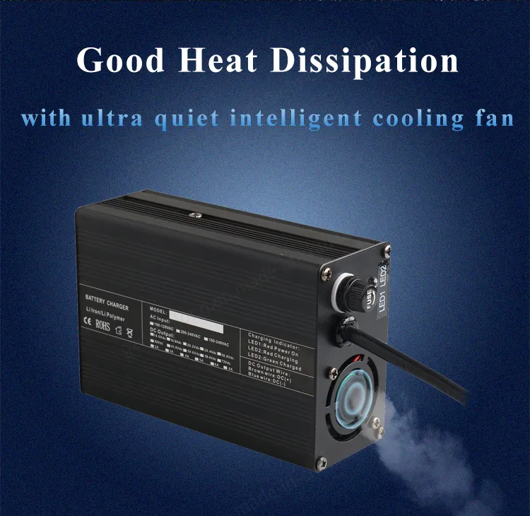 24V Intelligent Charger