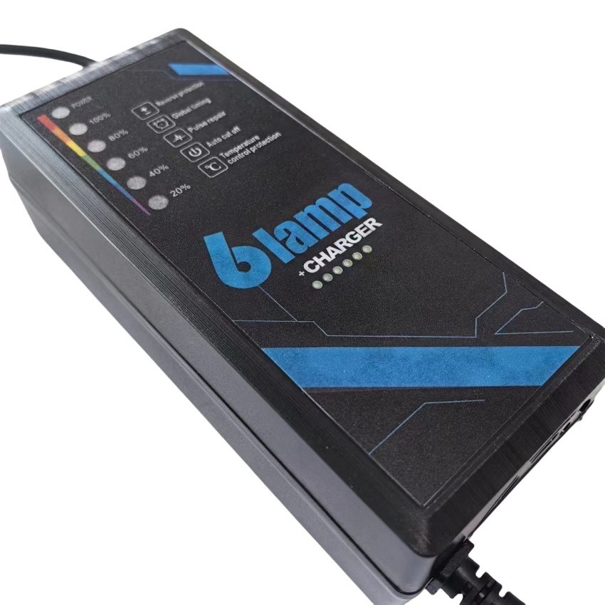 48V4a/48V30ah/Golf Cart Smart Battery Charger/Trickle E-Bike LiFePO4 Ebike Charger/with MCU OLED Display