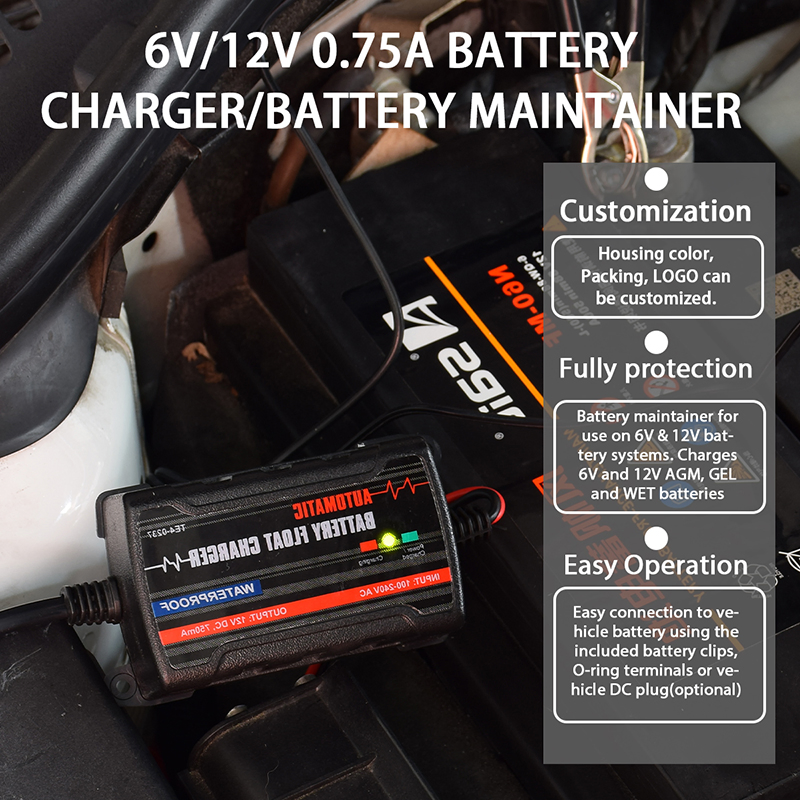 0.75A 6V 12V Motorcycle Battery Maintainer, Smart Trickle Battery Charger 12V Battery Charger Price