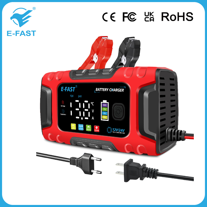 Tk-600 12V10A 24V5a Lead Acid LiFePO4 Battery Charger