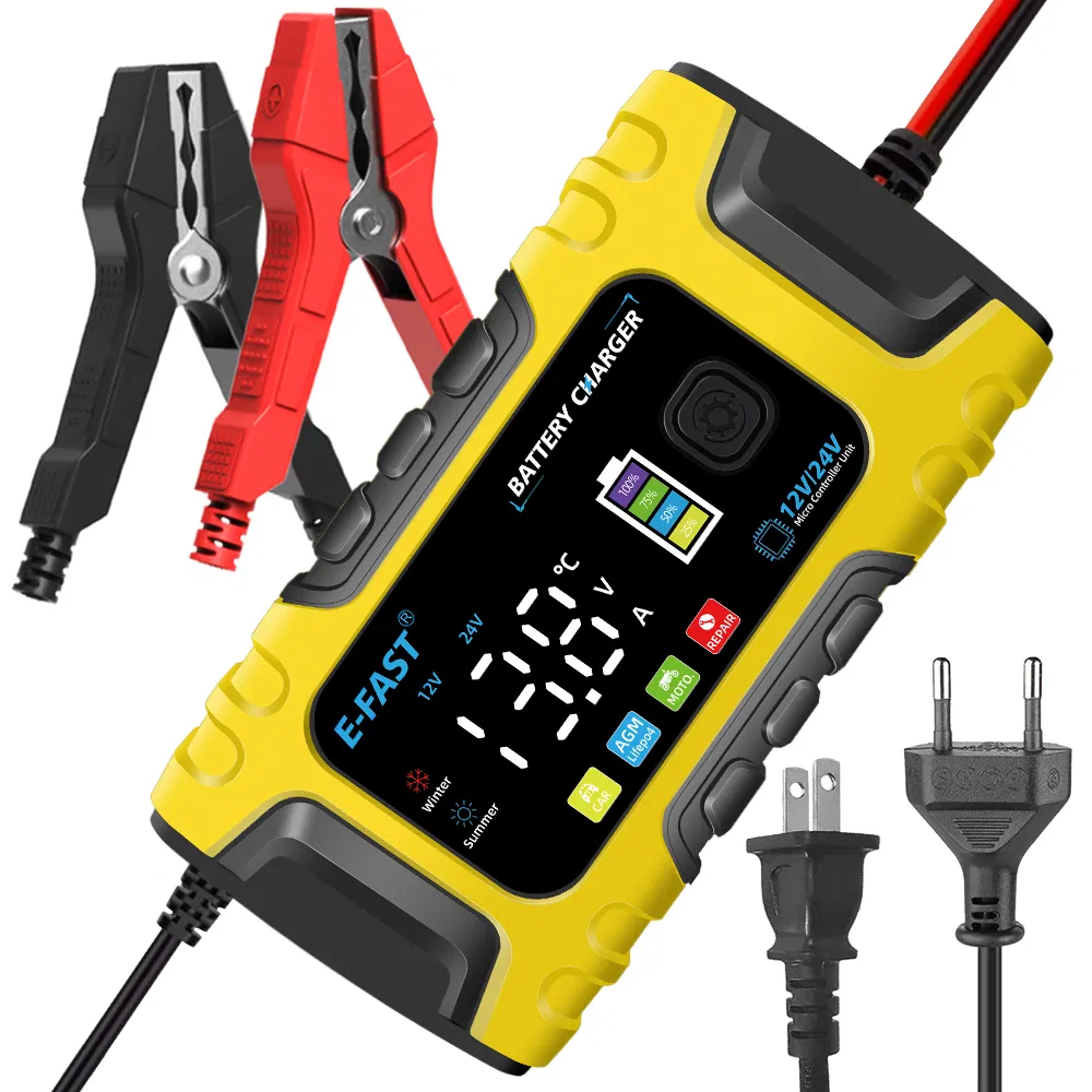 Tk-600 12V10A 24V5a Lead Acid LiFePO4 Battery Charger