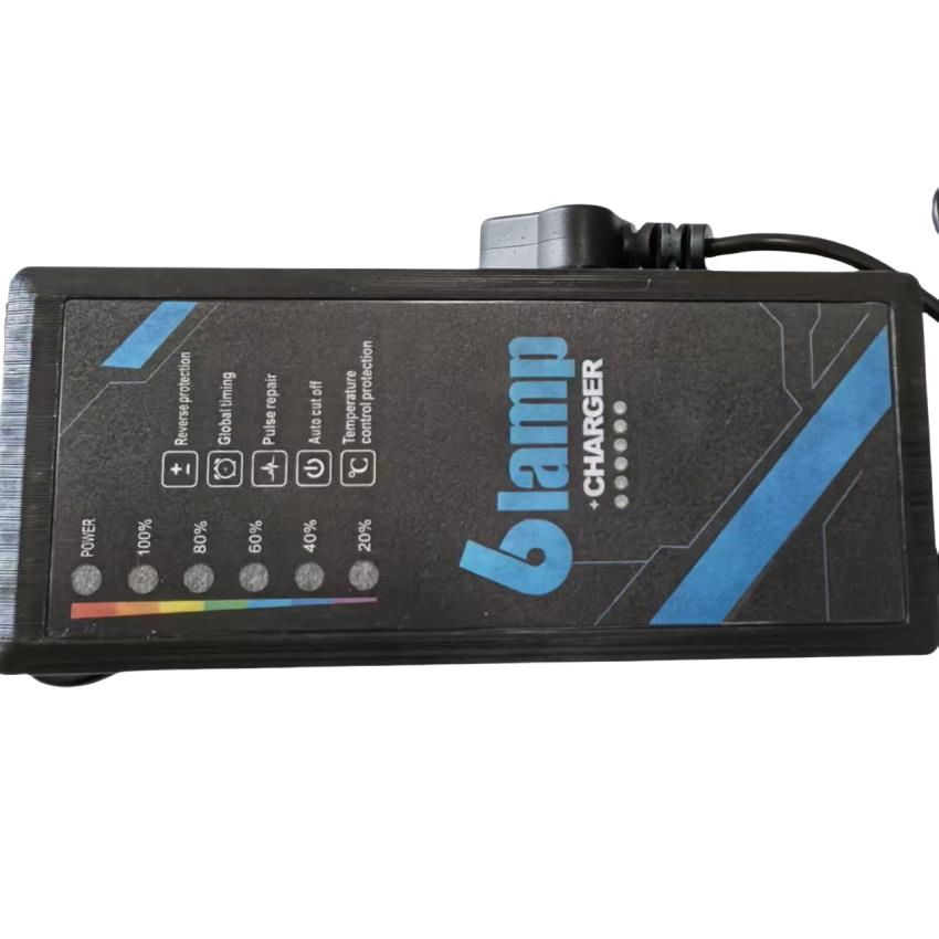 48V4a/48V30ah/Golf Cart Smart Battery Charger/Trickle E-Bike LiFePO4 Ebike Charger/with MCU OLED Display