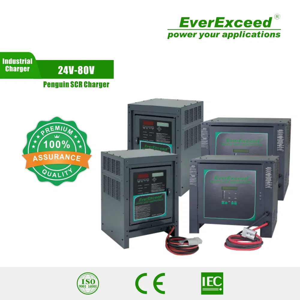Everexceed 24V-80V Penguin SCR Series Forklift Battery Charger