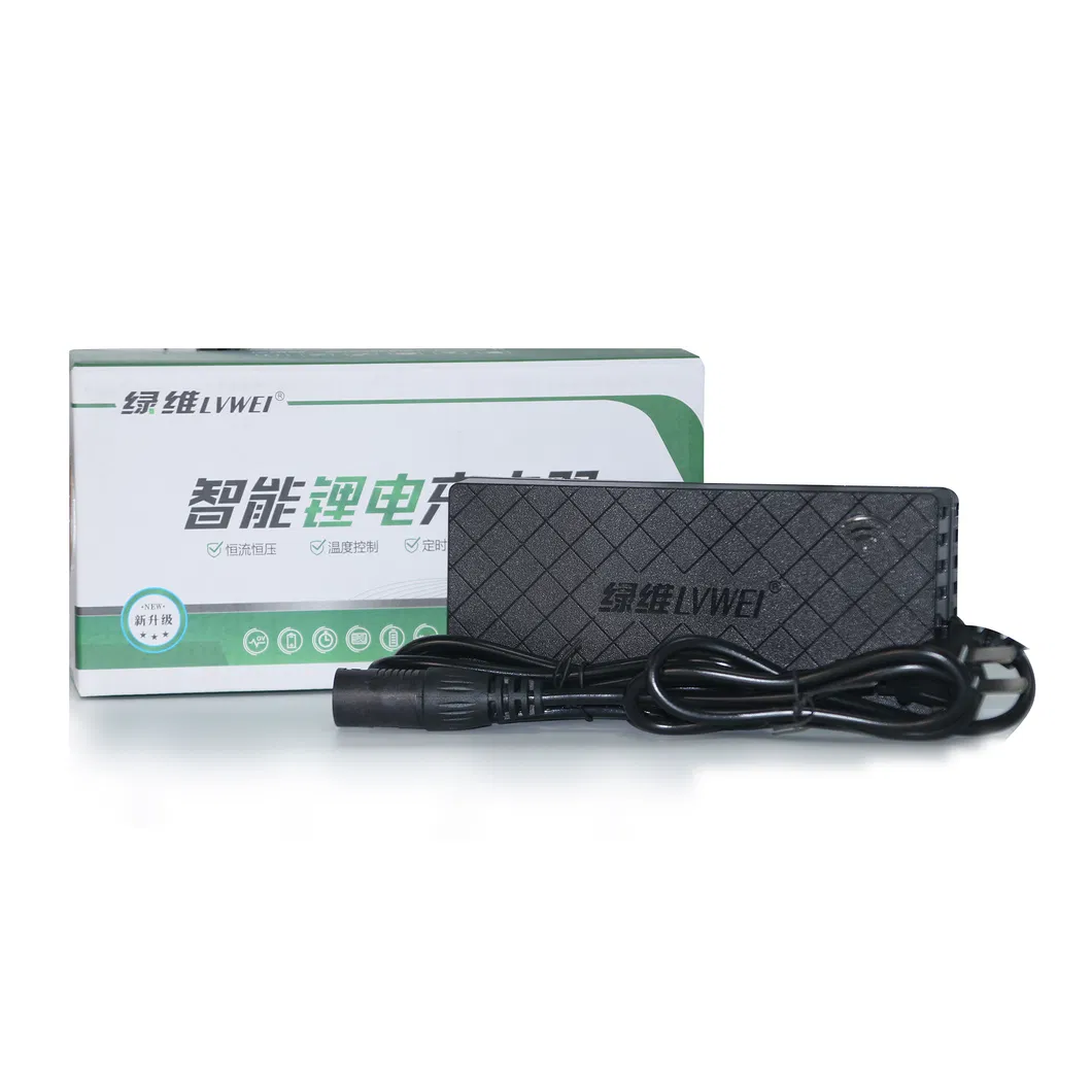 E Bike Battery Charger