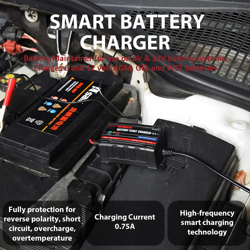 Battery Maintainer Detail 5