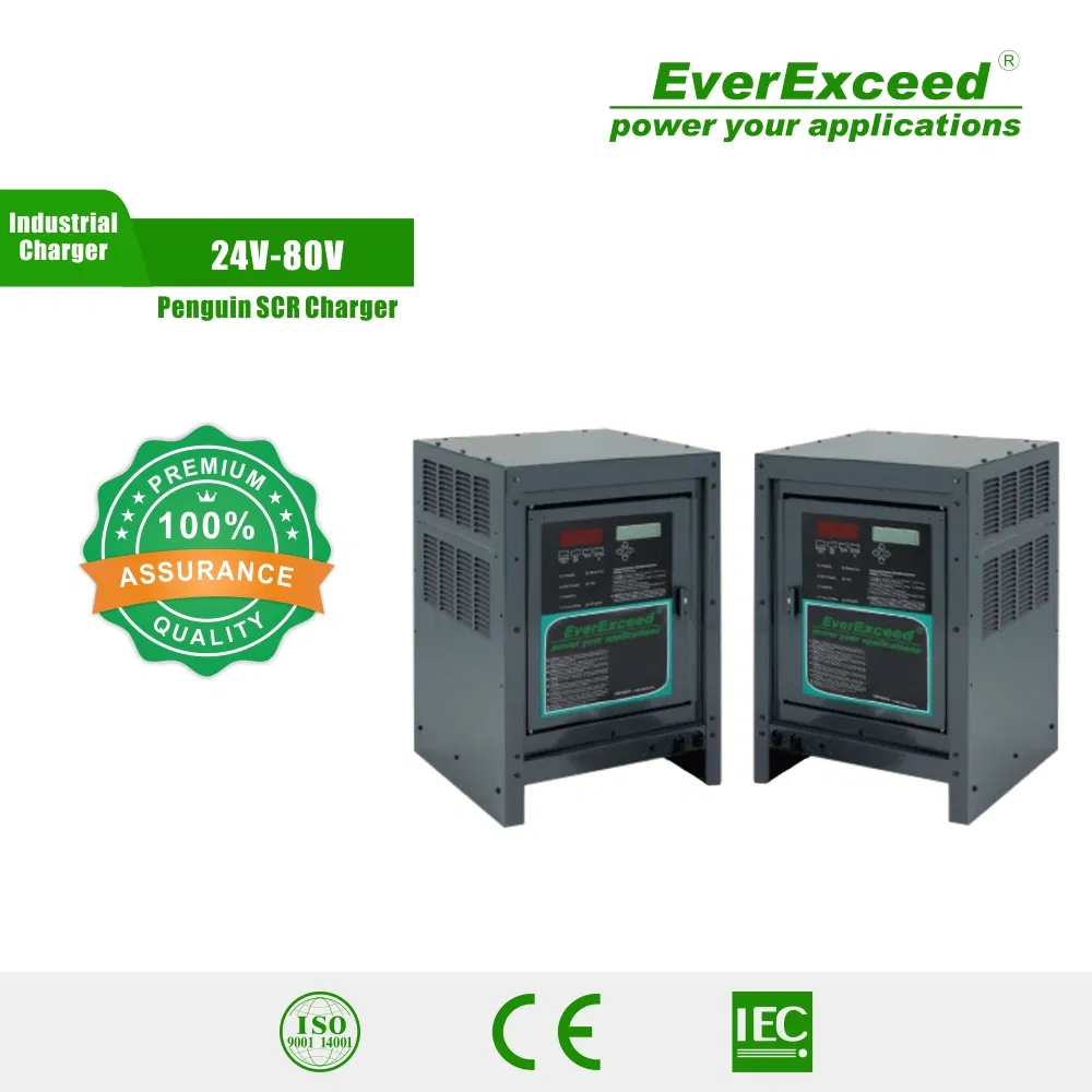 Everexceed 24V-80V Penguin SCR Series Forklift Battery Charger