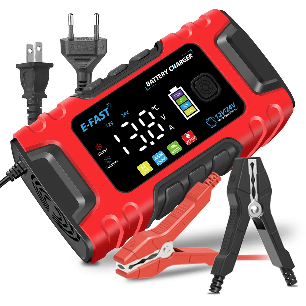 Tk-600 12V10A 24V5a Lead Acid LiFePO4 Battery Charger