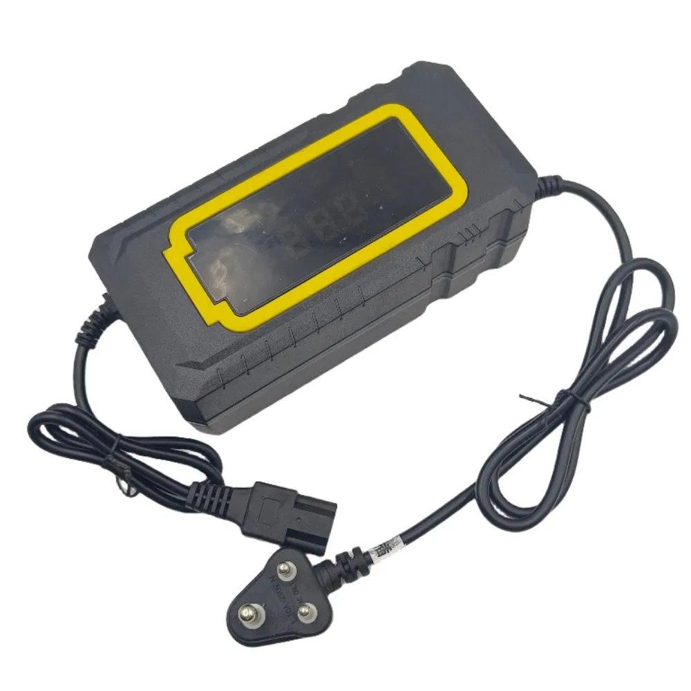 Automatic Electric Bicycle/ 48V30ah/ Lead Acid / Brand Electric/ Bicycle Battery Charger