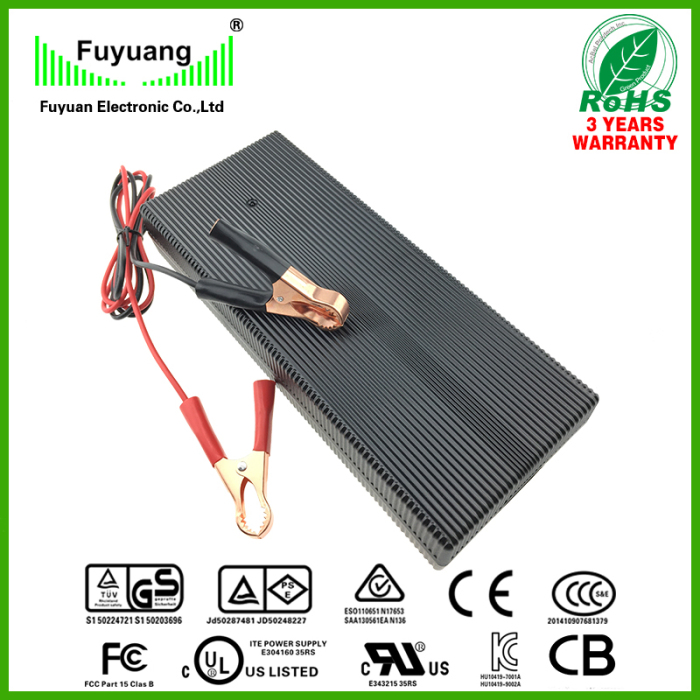 14.6V10A 20A 30A 40A LiFePO4 Battery Charger 12V100ah Lead Acid Battery Charger