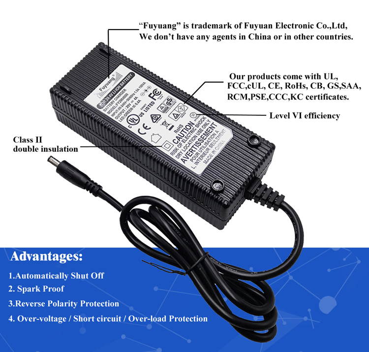 12V 24V 36V 42V 2A 3A 4A 5A Portable E-Bike Charger with High Performance and Active Series