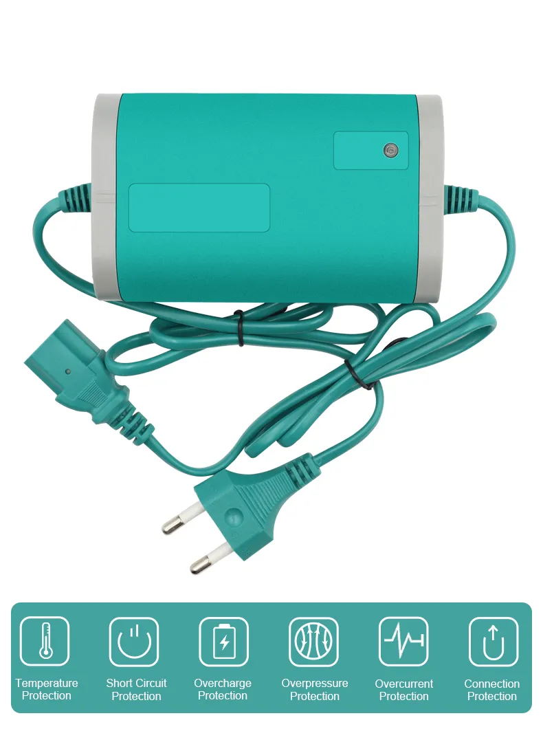 Battery Charger Details 1