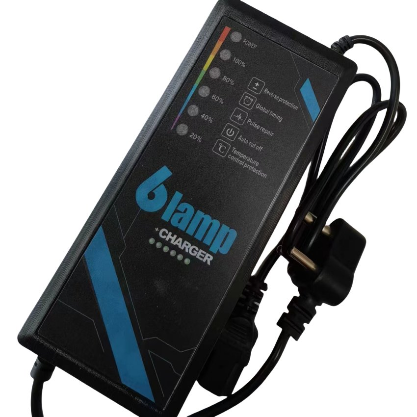 48V4a/48V30ah/Golf Cart Smart Battery Charger/Trickle E-Bike LiFePO4 Ebike Charger/with MCU OLED Display