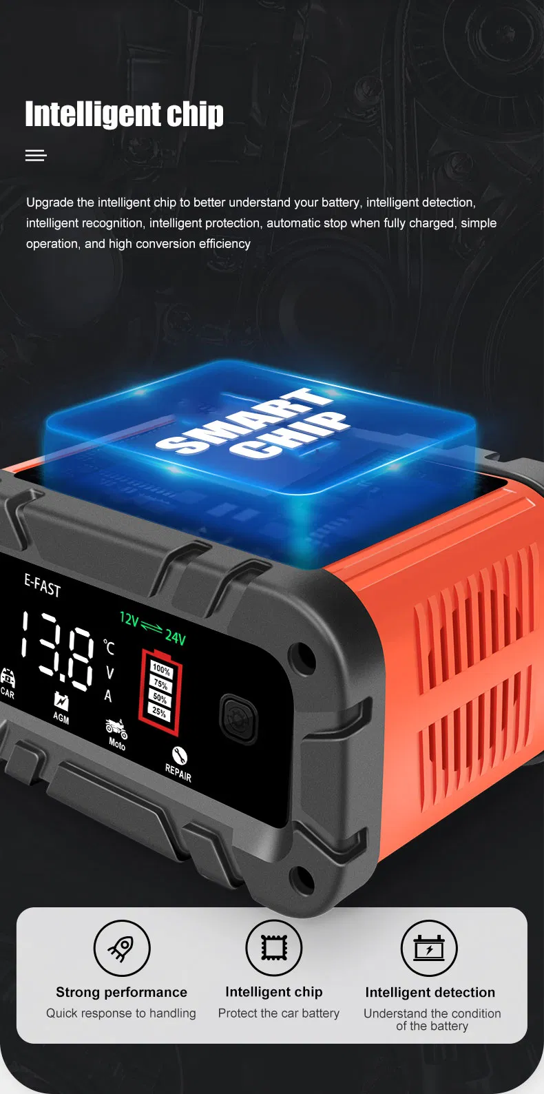 Battery Charger Details 3