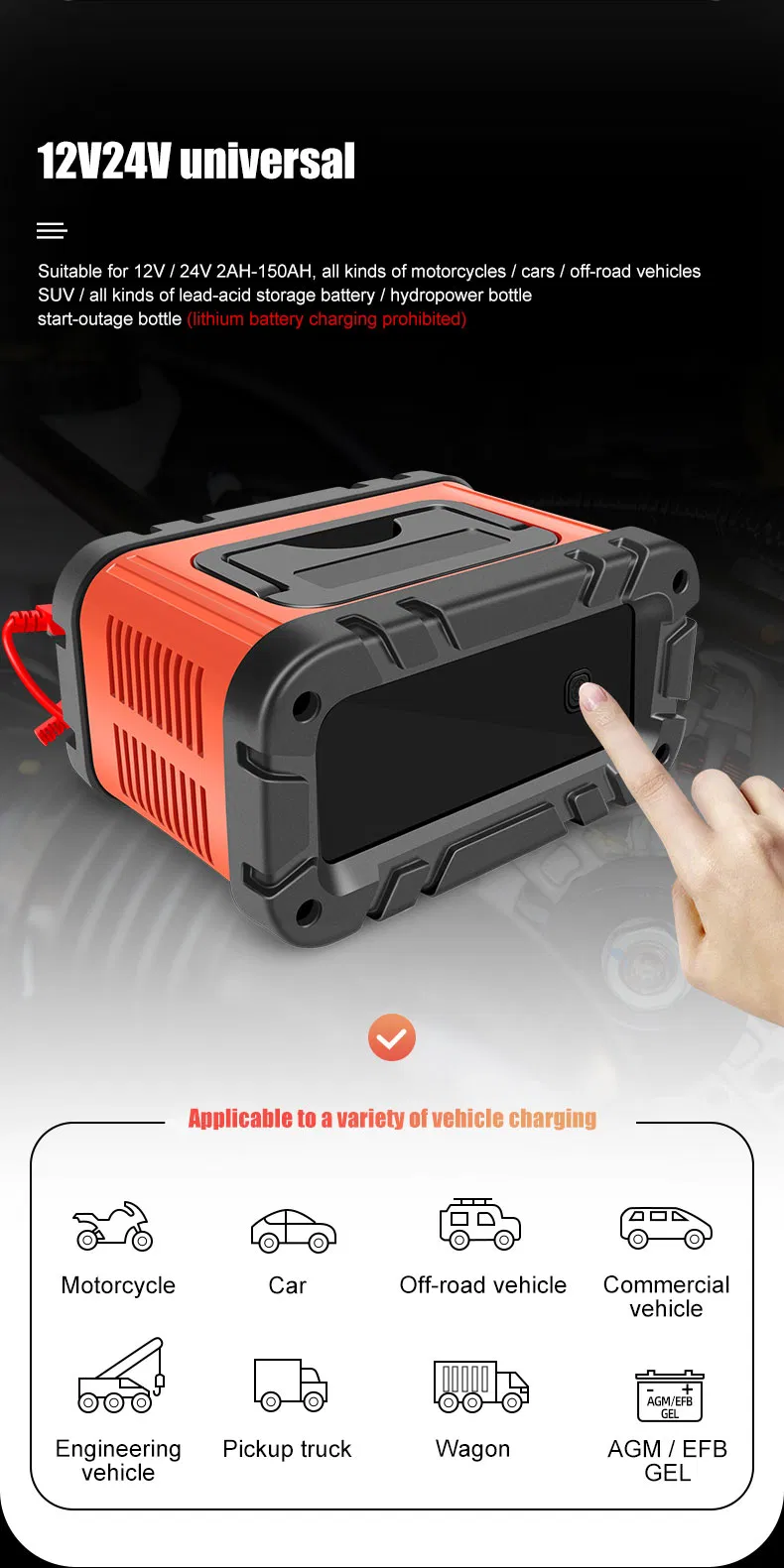 Battery Charger Details 2