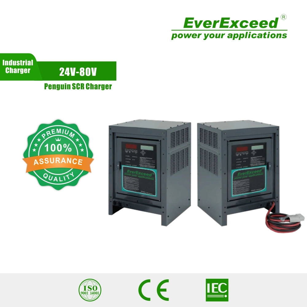 Everexceed 24V-80V Penguin SCR Series Forklift Battery Charger