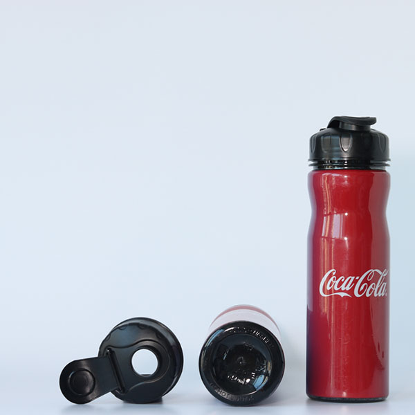 Wholesale Charmlite Factory Direct Customized Logo 650ml Water Bottle with Lanyard for Promotion Suppliers, Factory