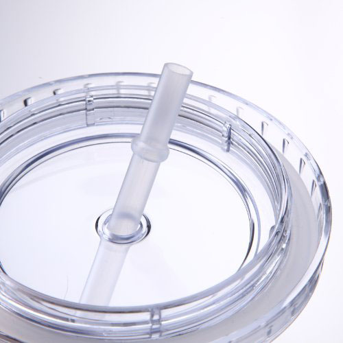 China Charmlite Insulated Double Wall Tumbler Cup with Lid & Reusable Straw - 16 oz - clear Exporter, Exporters