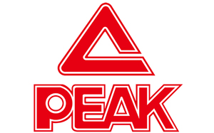 Partner brand logo 17