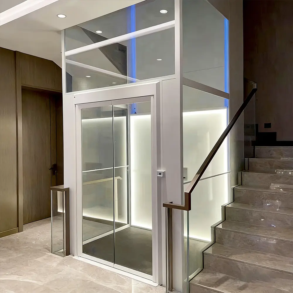 CE Certification 400kg Hydraulic Home Lift Customized Elevator Manufacturers, Product