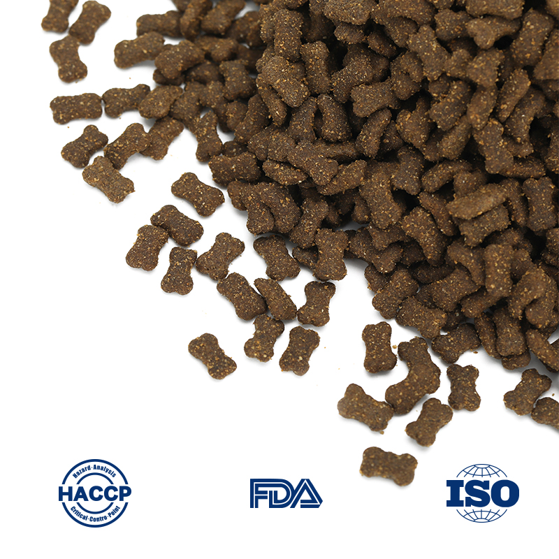 Premium Large Breed Puppy Kibble for Global Wholesale Distribution