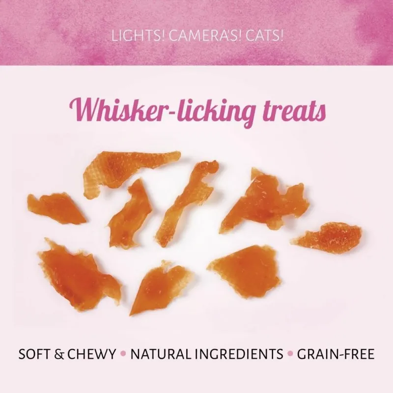 Cat Treats Display 1