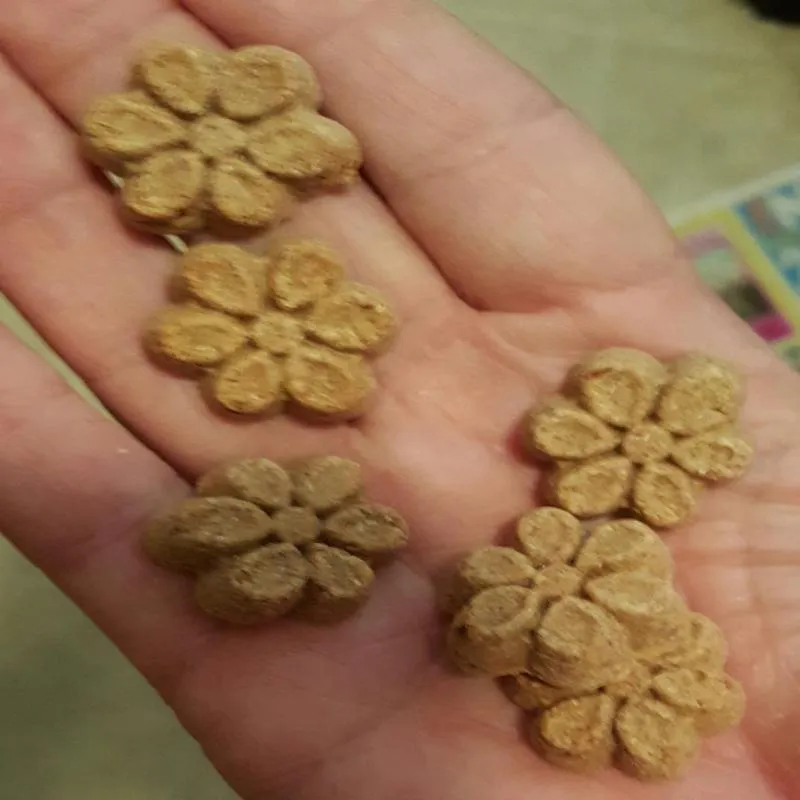 Dog Treat 5
