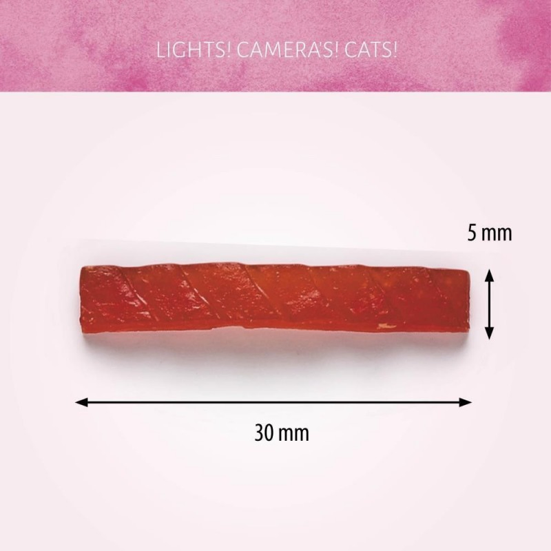 All Natural Grilled Duck Flavor 1.8oz (50g) Soft Cat Treats