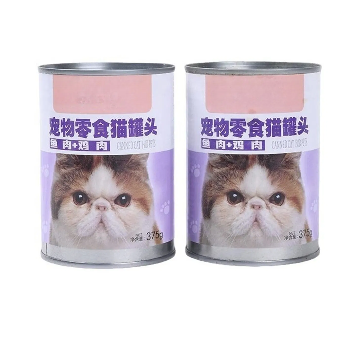 Complete Balanced Diet with Beef and Pumpkin in Jelly for Digestive Health and Regular bowl Movement Support