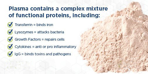 Spray Dried Plasma Protein for Pet Food - Natural Palatability Enhancer &amp; Functional Ingredient